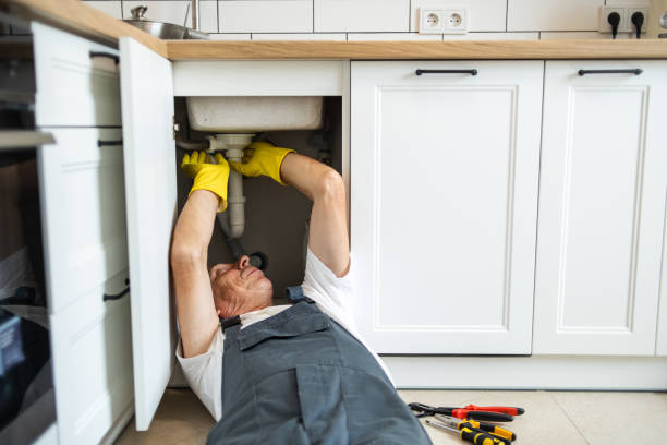 Best Residential Plumbing Services  in Rock Island, IL
